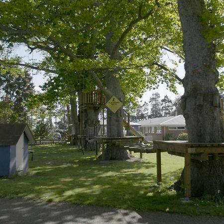 Te Aroha Holiday Park And Motels Eksteriør billede