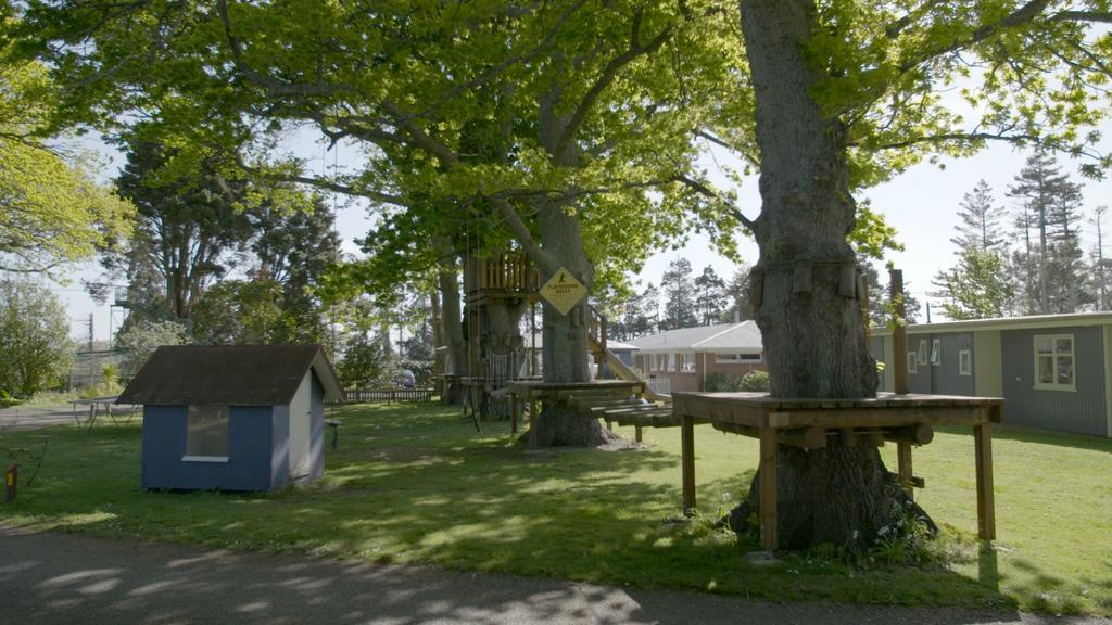 Te Aroha Holiday Park And Motels Eksteriør billede