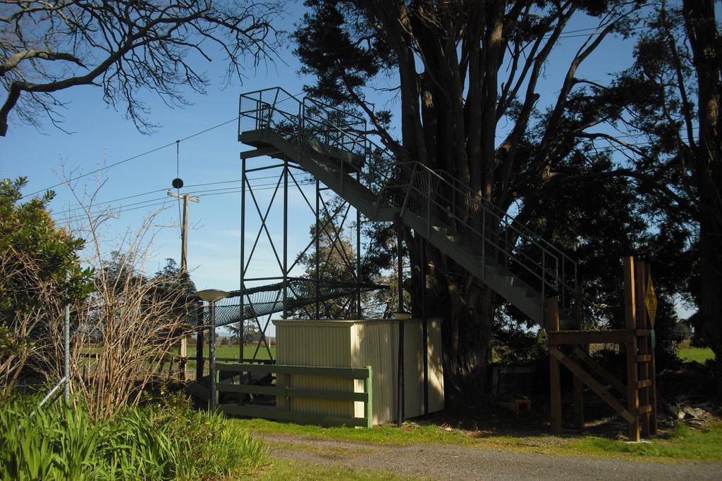 Te Aroha Holiday Park And Motels Eksteriør billede